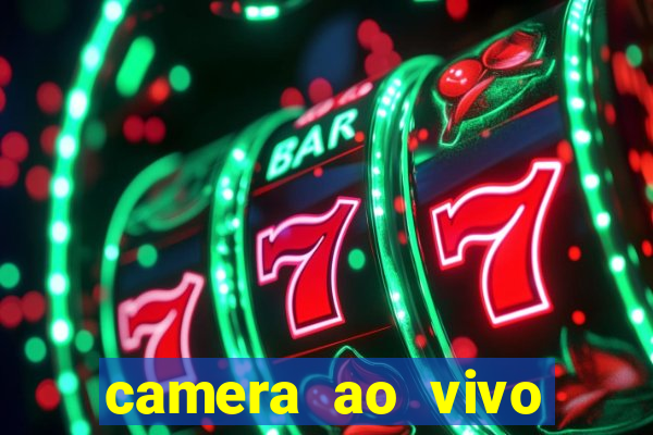 camera ao vivo terminal vila nova cachoeirinha