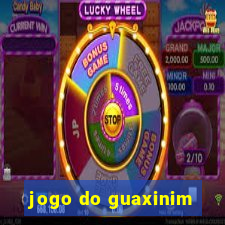 jogo do guaxinim