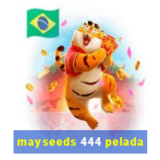 mayseeds 444 pelada