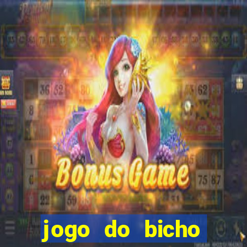 jogo do bicho tipos de apostas