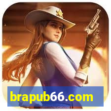 brapub66.com