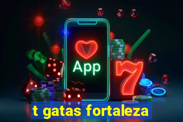 t gatas fortaleza