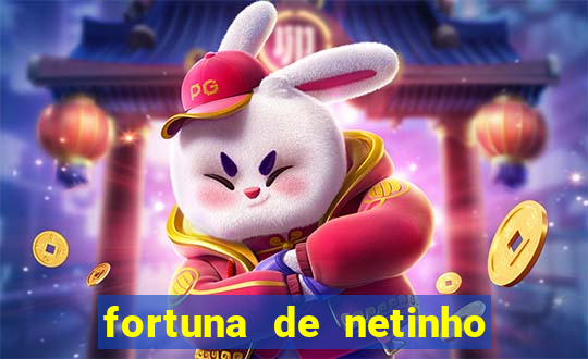 fortuna de netinho de paula