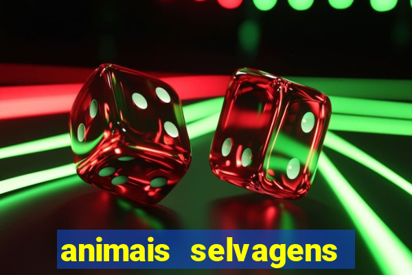 animais selvagens fotos e nomes