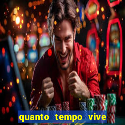 quanto tempo vive um passarinho bem-te-vi