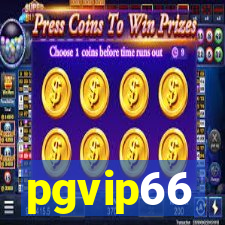 pgvip66