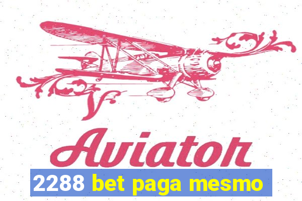 2288 bet paga mesmo