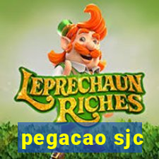 pegacao sjc