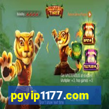 pgvip1177.com