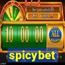 spicybet-1.com